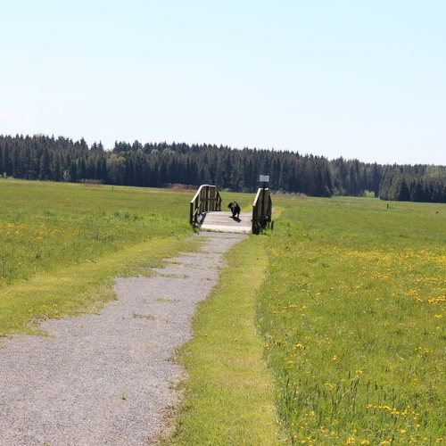 Ausflug im Mai 2016 (5)